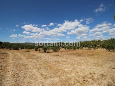 Annonce Vente Terrain Faro