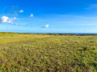 Acheter Terrain 4560 m2 Vila-do-bispo