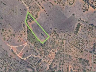 Acheter Terrain 8560 m2 Vila-do-bispo