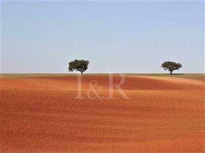 Acheter Terrain Monforte rgion PORTALEGRE