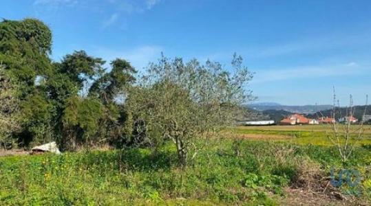 Annonce Vente Maison Mafra