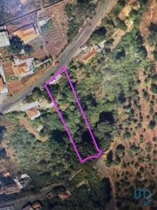 Annonce Vente Terrain Funchal