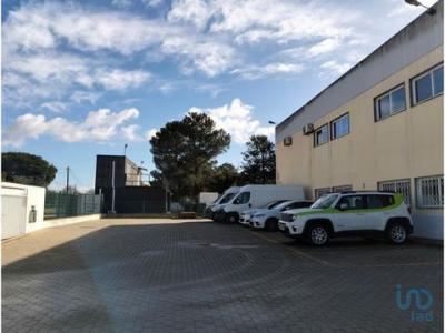 Acheter Local industriel 280 m2 Arraiados