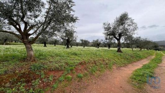Annonce Vente Terrain Penela