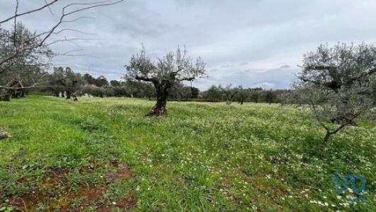 Acheter Terrain 2088 m2 Penela