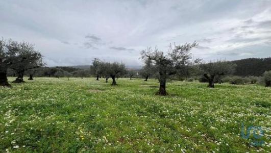 Acheter Terrain Penela rgion COIMBRA