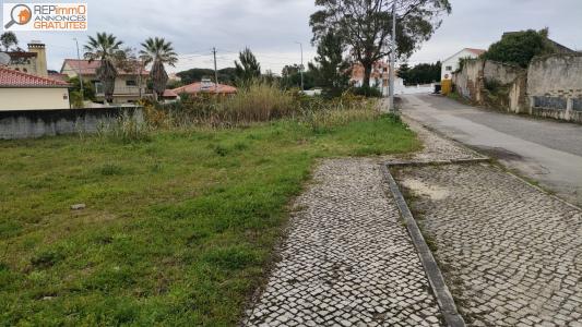 Annonce Vente Terrain Caldas-da-rainha