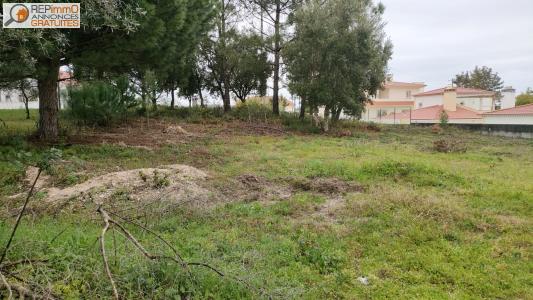 Acheter Terrain Caldas-da-rainha 119000 euros