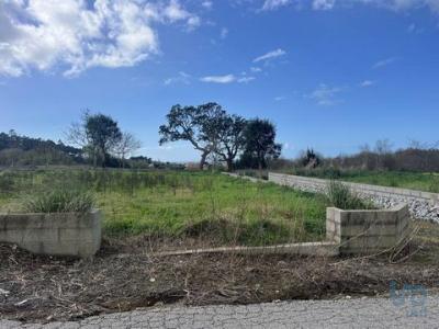 Annonce Vente Terrain Esposende