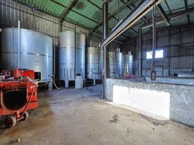 Annonce Vente Local industriel Palmela