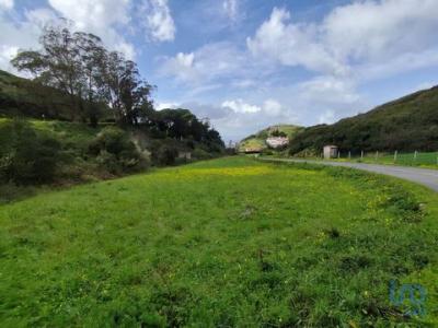 Vente Terrain Cadaval CADAVAL-E-PARO-MONIZ 11 au Portugal