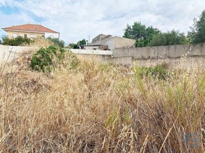 Annonce Vente Terrain Loule