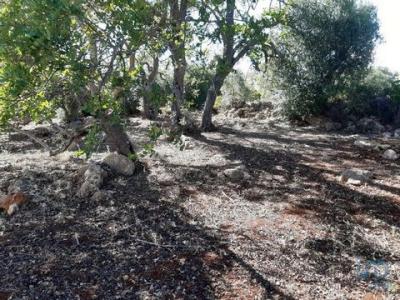Annonce Vente Terrain Loule