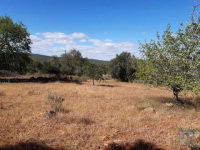 Acheter Terrain Loule rgion FARO