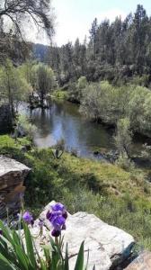 Annonce Vente Maison Castelo-branco