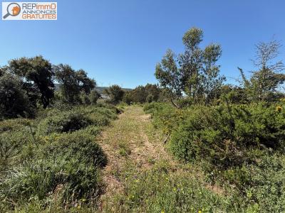 Acheter Terrain Caldas-da-rainha