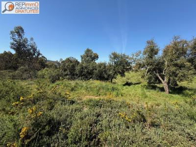 Acheter Terrain Caldas-da-rainha rgion LEIRIA