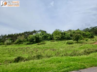 Acheter Terrain Caldas-da-rainha 75000 euros