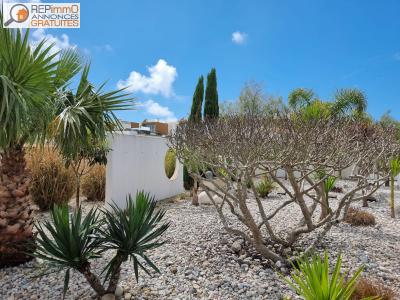 Acheter Maison Salir-do-porto 555000 euros