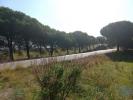 Acheter Terrain 110 m2 VILA-REAL-DE-SANTO-ANTONIO