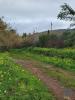 Acheter Terrain 3900 m2 SILVES