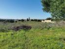 Annonce Vente Terrain FARO