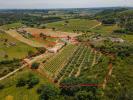 Annonce Vente Domaine agricole ALCOENTRE