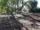Annonce Vente Terrain LOULE