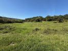 Vente Terrain CALDAS-DA-RAINHA 2500