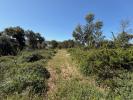 Acheter Terrain CALDAS-DA-RAINHA