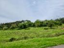 Acheter Terrain CALDAS-DA-RAINHA 75000 euros
