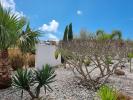 Acheter Maison SALIR-DO-PORTO 555000 euros