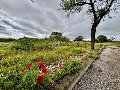Annonce Vente Terrain Benavente