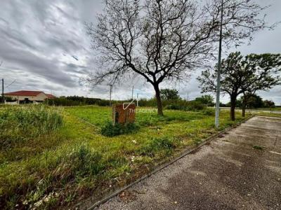 Acheter Terrain Benavente rgion SANTAREM
