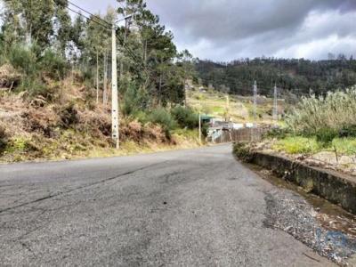 Annonce Vente Terrain Ponta-do-sol
