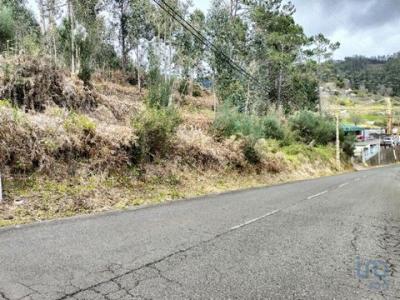 Acheter Terrain 4430 m2 Ponta-do-sol