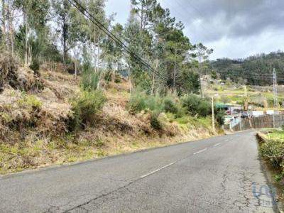 Acheter Terrain Ponta-do-sol rgion MADEIRA