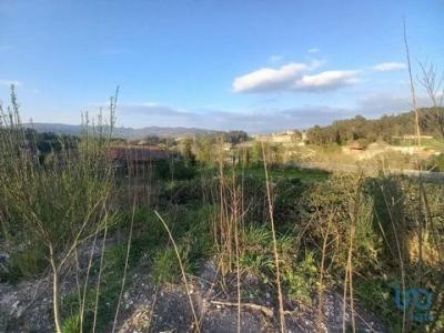 Vente Terrain Amarante VILA-GARCIA,-ABOIM-E-CHAPA 13 au Portugal