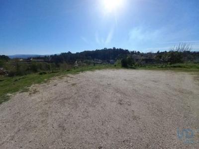 Annonce Vente Terrain Amarante