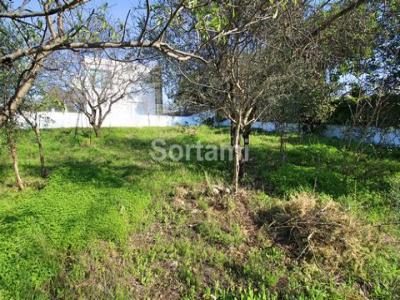 Annonce Vente Terrain Loule