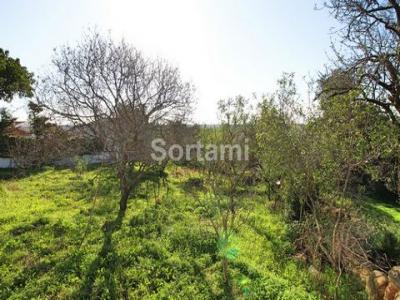 Acheter Terrain 450 m2 Loule