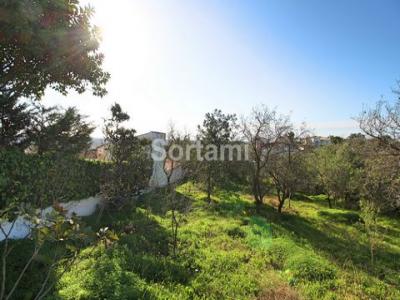 Acheter Terrain Loule rgion FARO