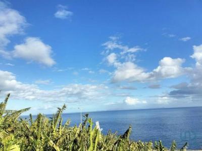 Acheter Maison Santa-cruz rgion MADEIRA