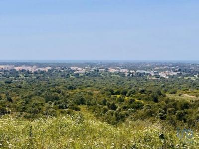 Annonce Vente Terrain Loule