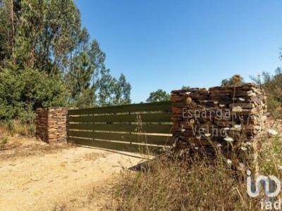 Annonce Vente Terrain Odemira