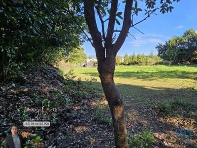 Acheter Terrain 375 m2 Ajuda