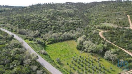 Vente Terrain Penela PODENTES 06 au Portugal