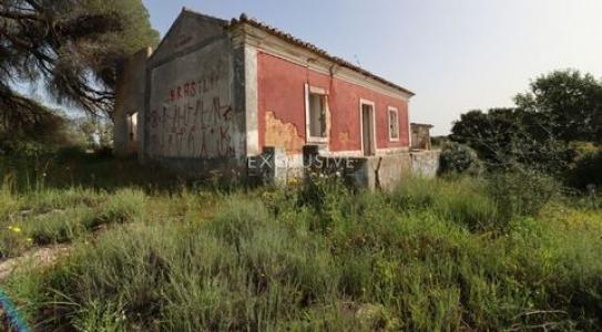 Annonce Vente Terrain Lagoa