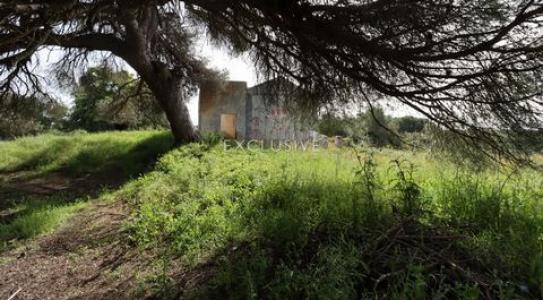 Acheter Terrain Lagoa rgion LEIRIA
