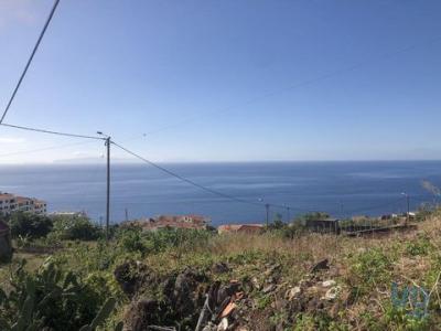 Acheter Terrain 555 m2 Canico